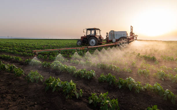 Best Best Pest Control Companies  in Rancho Laveras, CA