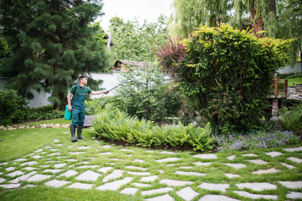 Best Pest Inspection Near Me  in Rancho Laveras, CA