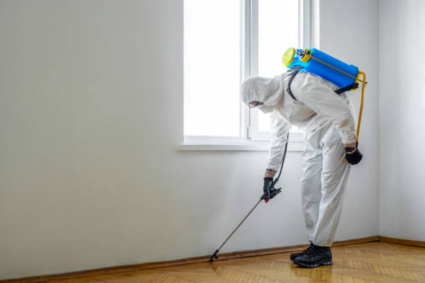Best Mosquito Control Services  in Rancho Laveras, CA