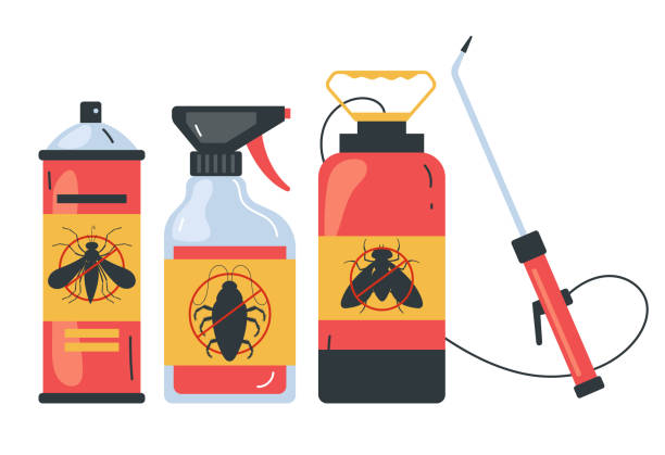 Best Spider Control Near Me  in Rancho Laveras, CA
