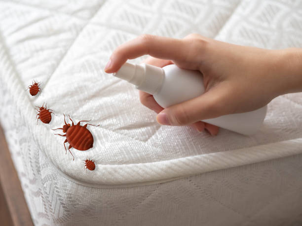 Best Pest Removal Services  in Rancho Laveras, CA