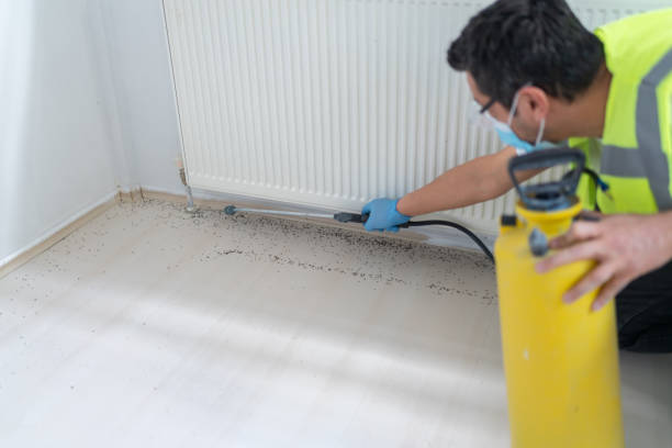 Trusted Rancho Calaveras, CA Pest Control Experts